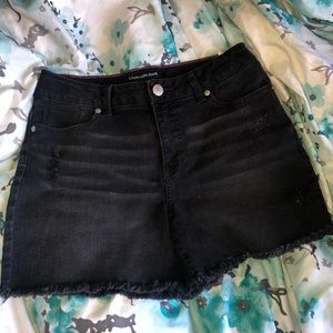 calvin klein jean shorts